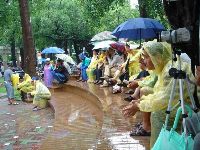 0611_069.JPG (97332 bytes)