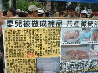 0617_017.JPG (175431 bytes)