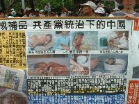 0617_019.JPG (168105 bytes)