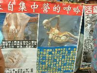 0617_020.JPG (158066 bytes)