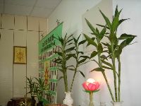 0618_008.JPG (51746 bytes)