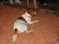 0624_026.JPG (50921 bytes)