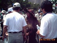 0627_015.JPG (93014 bytes)