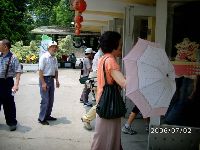 0702sugar_023.JPG (116838 bytes)