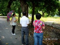 0702sugar_033.JPG (151800 bytes)