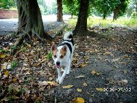 0702sugar_035.JPG (193221 bytes)