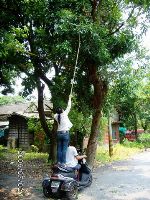 0702sugar_037.JPG (116376 bytes)