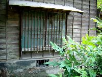 0702sugar_042.JPG (153057 bytes)