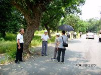 0702sugar_043.JPG (155013 bytes)