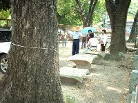 0702sugar_052.JPG (176858 bytes)