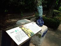 0702sugar_060.JPG (126723 bytes)