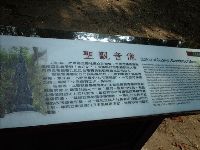 0702sugar_064.JPG (126670 bytes)