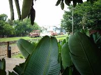 0702sugar_073.JPG (130613 bytes)