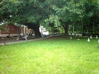 0702sugar_076.JPG (174255 bytes)