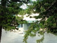 0702sugar_079.JPG (181440 bytes)