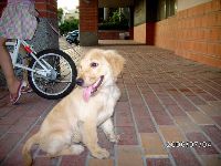 0704_001.JPG (119491 bytes)