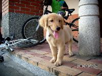 0704_003.JPG (147265 bytes)