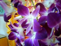 0730_057.JPG (96568 bytes)