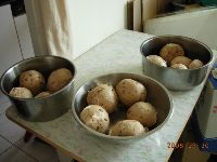 0730_062.JPG (86323 bytes)