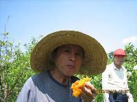 0812-1_003.jpg (65305 bytes)