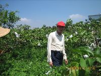 0812-1_004.jpg (89306 bytes)