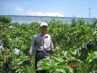 0812-1_005.jpg (96395 bytes)