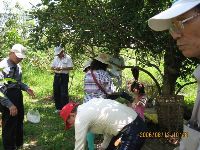 0812-1_007.jpg (103954 bytes)