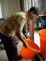 0819-1_010.JPG (87630 bytes)