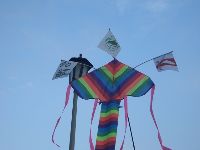 0826rally_033.JPG (165929 bytes)