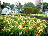 0826rally_254.JPG (185323 bytes)