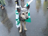 0916_0098.JPG (110199 bytes)