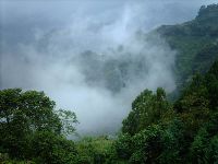 0921_002.JPG (99057 bytes)