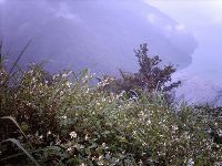 0921_036.JPG (141259 bytes)