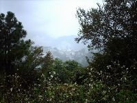 0921_037.JPG (150631 bytes)