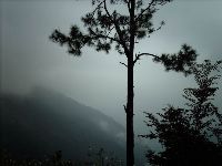 0921_038.JPG (89262 bytes)