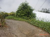 0921_060.JPG (147092 bytes)