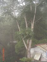 0921_069.JPG (64789 bytes)