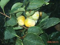 0921_070.JPG (131522 bytes)