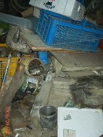 0921_071.JPG (79875 bytes)