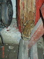 0921_073.JPG (90165 bytes)