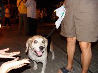 0923-228park_055.JPG (98106 bytes)