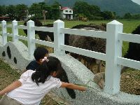 1029_011.JPG (133681 bytes)