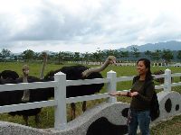 1029_012.JPG (100644 bytes)