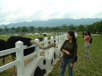 1029_013.JPG (107053 bytes)