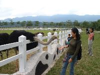 1029_014.JPG (116132 bytes)