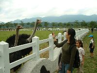 1029_015.JPG (108157 bytes)