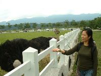 1029_016.JPG (98568 bytes)