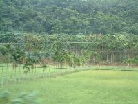 1103_004.JPG (110379 bytes)