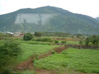 1103_034.JPG (87840 bytes)