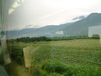 1103_041.JPG (76385 bytes)